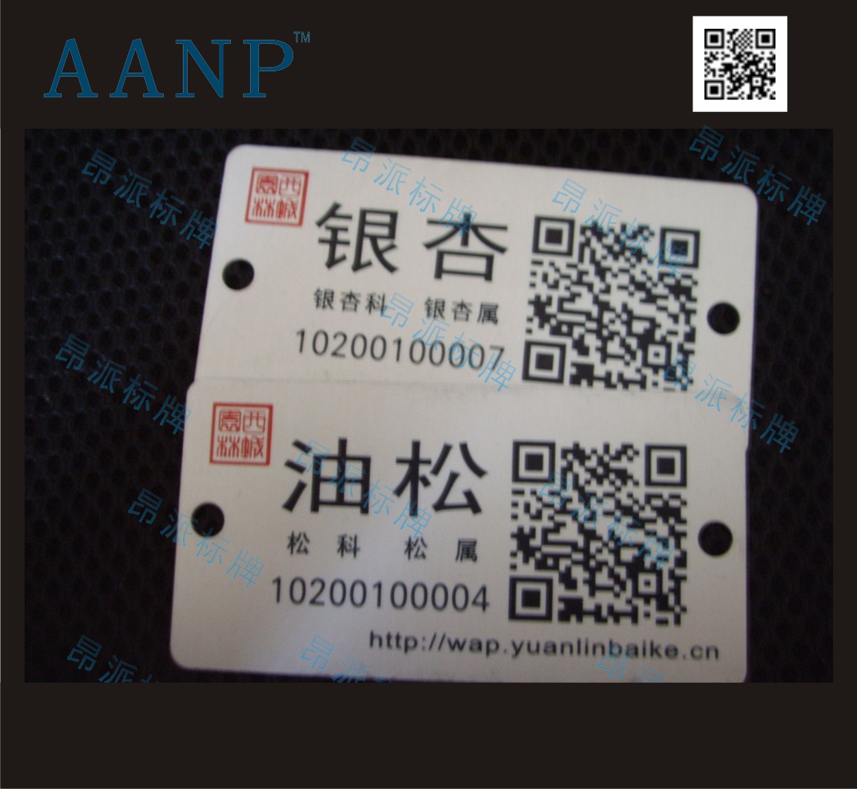 樹(shù)木金屬二維碼